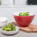 Zeal Melamine Salad Bowl in Red